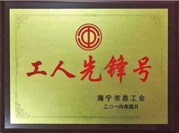 Worker Pioneer